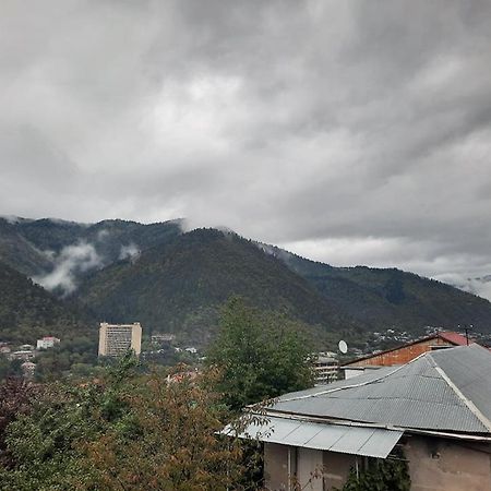 Guest House Bochora 보르조미 외부 사진
