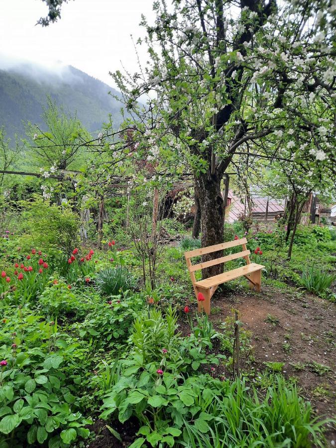 Guest House Bochora 보르조미 외부 사진