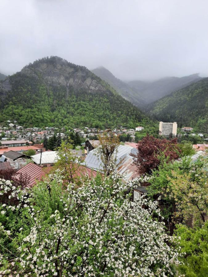 Guest House Bochora 보르조미 외부 사진