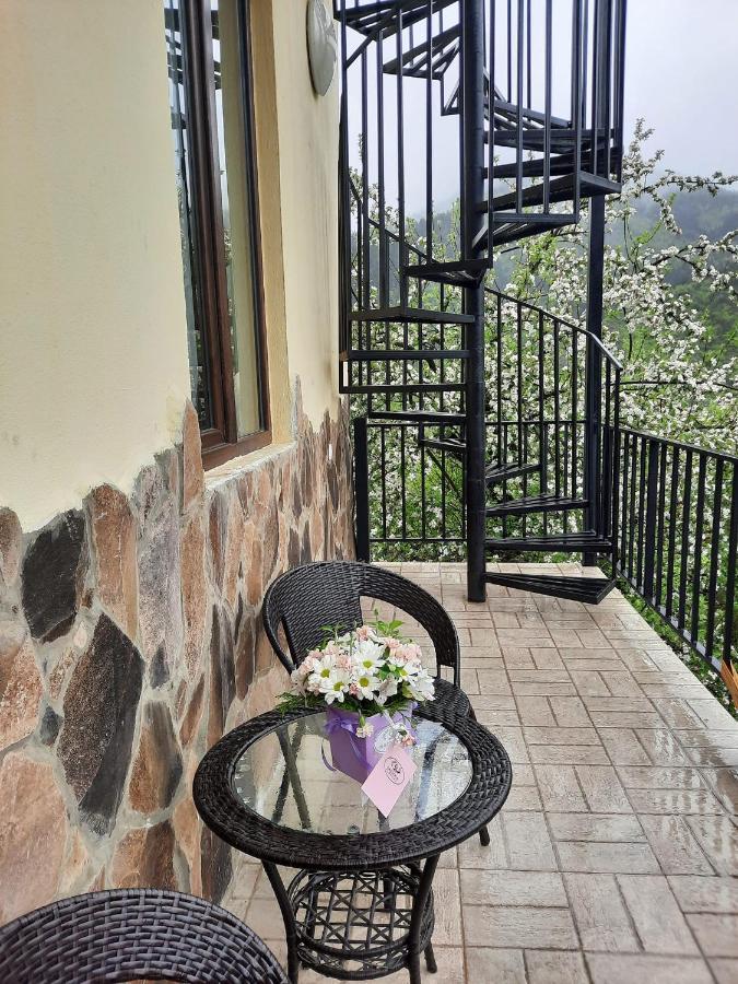 Guest House Bochora 보르조미 외부 사진