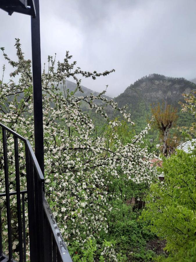 Guest House Bochora 보르조미 외부 사진